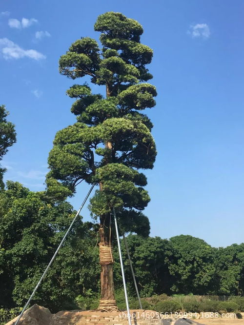這些雷區(qū)莫踩 這些補助速領(lǐng)